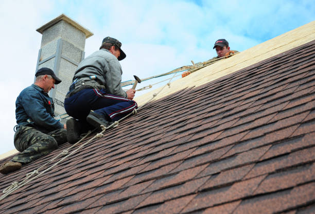 Best Roof Repair Specialists  in USA